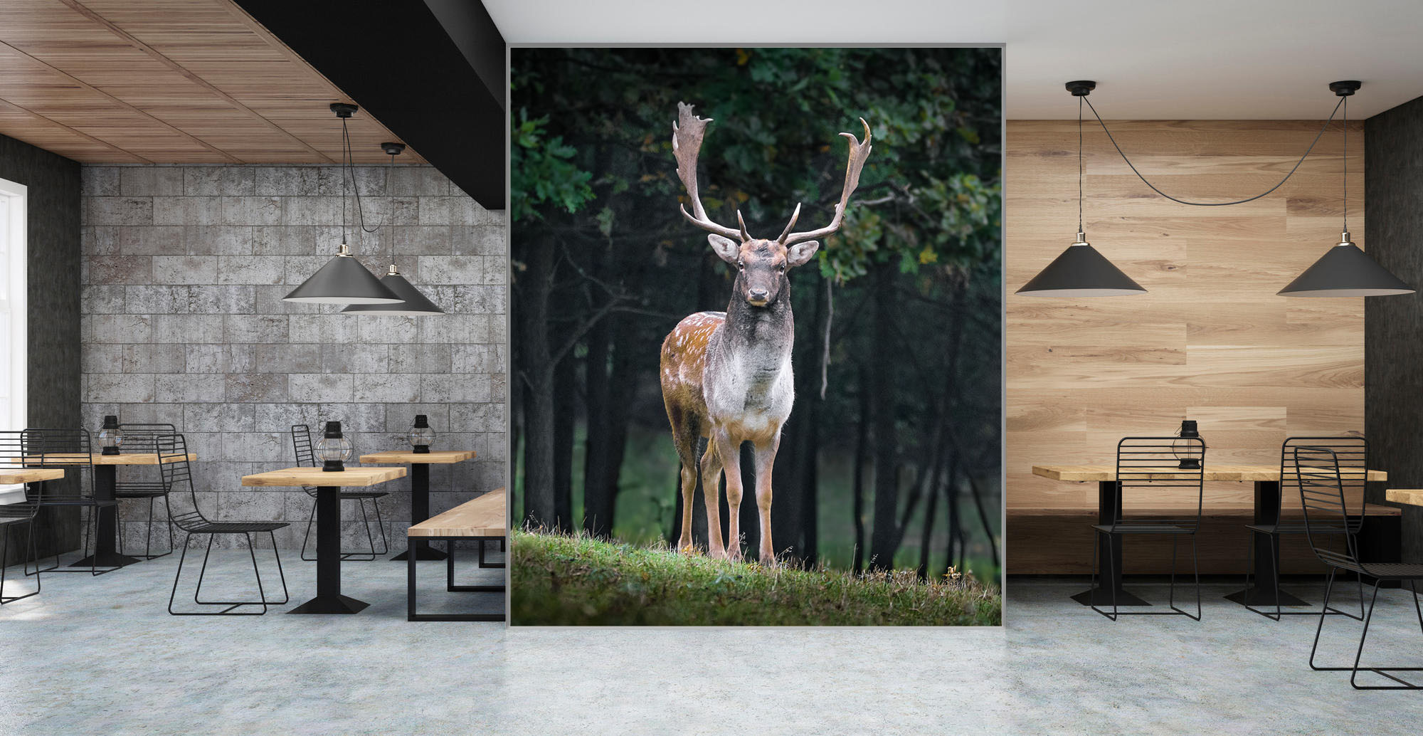 Toile sur Cadre acoustique tout format – tableau acoustique