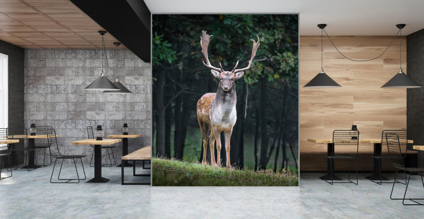 Toile sur Cadre acoustique tout format – tableau acoustique
