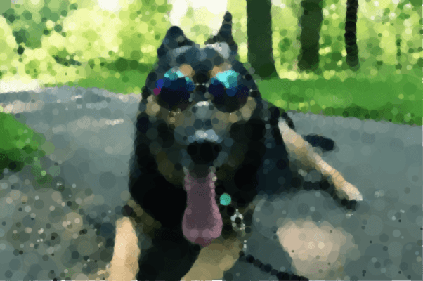 Le chien à lunettes avec un effet peinture que donne Geometrize