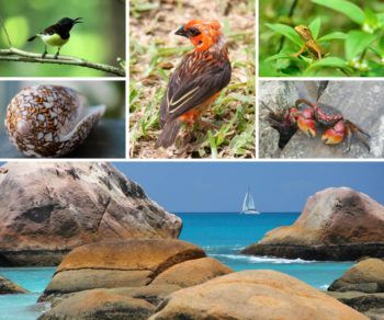 Alternative view of Collage de photos instagram, facebook ou personnelles