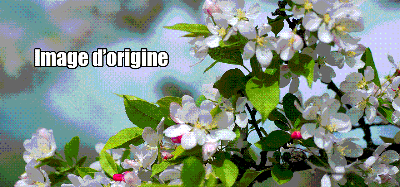 Exemples de modes de fusion de photoshop